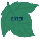 ENTER